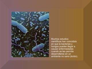 Muchos estudios científicos han coincidido en que la bacterias y hongos pueden llegar a causar enfermedades cuando se les permite desarrollarse en un ambiente no sano (ácido).  