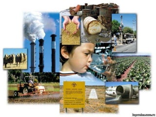 169 ekologichna problema_lyudstvay uy yu