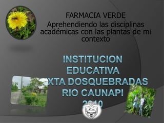 FARMACIA VERDE  Aprehendiendo las disciplinas académicas con las plantas de mi contexto INSTITUCION EDUCATIVA MIXTA DOSQUEBRADASRIO CAUNAPI2010 