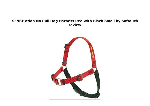 sensation harness