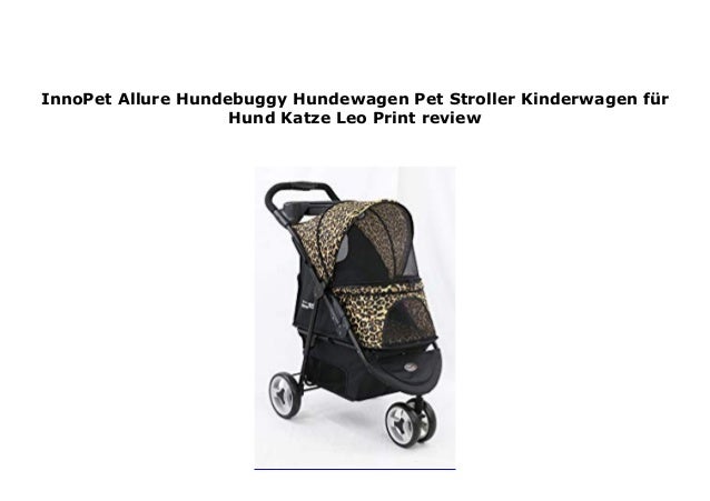 Buggy Hund