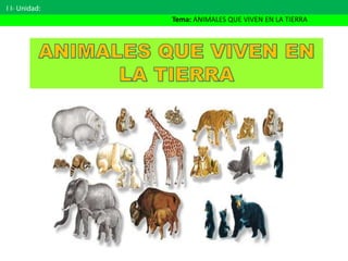 16 animales que viven en la tierra | PPTX