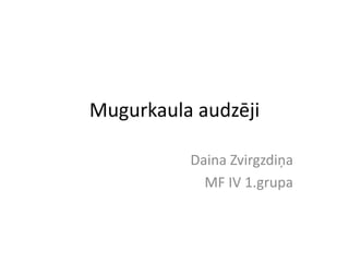 Mugurkaula audzēji

          Daina Zvirgzdiņa
            MF IV 1.grupa
 