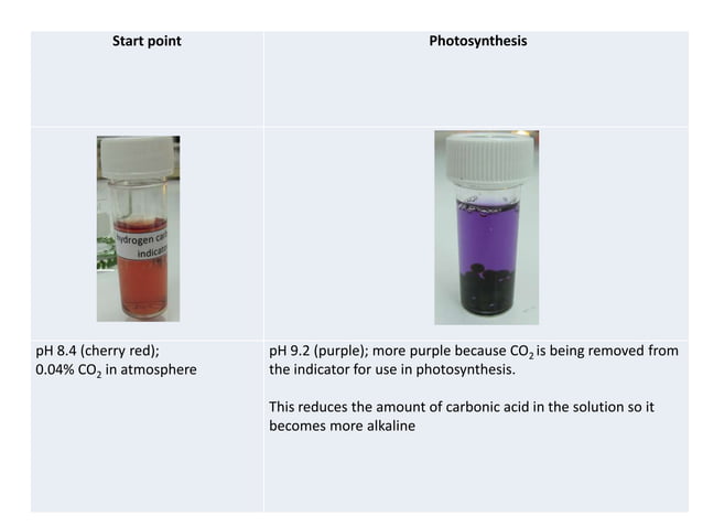 16 b1.33b carbon dioxide indicator | PPTX