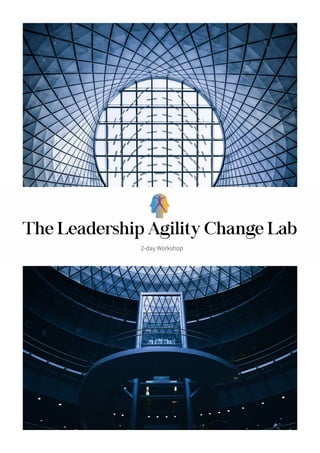 The Leadership Agility Change Lab
2-day Workshop
 
