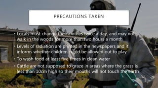 PRECAUTIONS TAKEN
• Locals must change their clothes twice a day, and may not
walk in the woods for more than two hours a month
• Levels of radiation are printed in the newspapers and it
informs whether children could be allowed out to play
• To wash food at least five times in clean water
• Cattle are not supposed to graze in areas where the grass is
less than 10cm high so their mouths will not touch the earth
 