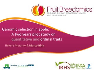 Genomic selection in apple:
A two years pilot study on
quantitative and ordinal traits
Hélène Muranty & Marco Bink
 