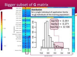 Bigger subset of G matrix
Distribution
for a single individual of application family
to all individuals of the training population :
 