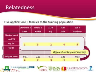 Relatedness
Choupette x
X-6681
Pinova x
X-6398
313 x
Fuji
313 x
Gala
338 x
Braeburn
Marker based
top 25% 0.14 0.17 0.18 0.16 0.08
top 5% 0.31 0.29 0.30 0.26 0.13
top 10 0.39 0.35 0.36 0.31 0.17
Pedigree based 0.11 0.19 0.16 0.22 0.03
Five application FS families to the training population
4 2 3 1 5
1 3 2 4 5
Different ranking and spacing!
 