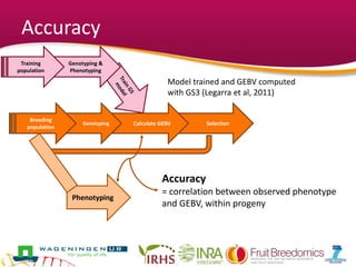 Accuracy
SelectionCalculate GEBVGenotyping
Genotyping &
Phenotyping
Training
population
Breeding
population
Phenotyping
Accuracy
= correlation between observed phenotype
and GEBV, within progeny
Model trained and GEBV computed
with GS3 (Legarra et al, 2011)
 