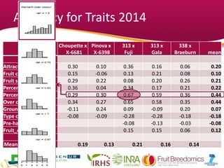 Accuracy for Traits 2014
Choupette x
X-6681
Pinova x
X-6398
313 x
Fuji
313 x
Gala
338 x
Braeburn mean
Attractiveness 0.30 0.10 0.36 0.16 0.06 0.20
Fruit cropping 0.15 -0.06 0.13 0.21 0.08 0.10
Fruit size 0.29 0.22 0.08 0.20 0.26 0.21
Percent russet 0.36 0.04 0.34 0.17 0.21 0.22
Percent over colour 0.29 0.30 0.67 0.59 0.36 0.44
Over colour 0.34 0.27 0.65 0.58 0.35 0.44
Ground colour -0.11 0.24 0.09 -0.09 0.20 0.07
Type colour -0.08 -0.09 -0.28 -0.28 -0.18 -0.18
Pre-harvest dropping -0.08 -0.13 -0.03 -0.08
Fruit_cracking 0.15 0.15 0.06 0.12
Mean_10Traits 0.19 0.13 0.21 0.16 0.14
 
