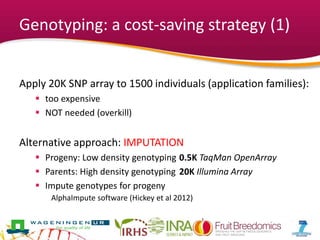 Genotyping: a cost-saving strategy (1)
Apply 20K SNP array to 1500 individuals (application families):
 too expensive
 NOT needed (overkill)
Alternative approach: IMPUTATION
 Progeny: Low density genotyping 0.5K TaqMan OpenArray
 Parents: High density genotyping 20K Illumina Array
 Impute genotypes for progeny
AlphaImpute software (Hickey et al 2012)
 