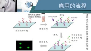 應用的流程
螢光標定之檢體
（內含目標序列）
基
因
晶
片
從
製
造
到
檢
測
應
用
的
流
程
 
