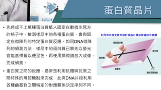 蛋白質晶片
• 先將成千上萬種蛋白質植入固定在數微米見方
的格子中，檢測樣品中的各種蛋白質，會與固
定在微陣列的特定蛋白質反應。如同DNA微陣
列的偵測方法，樣品中的蛋白質已事先以螢光
官能基標籤以便呈色。再使用顯微鏡放大成像，
完成偵測。
• 蛋白質之間的反應，通常是利用抗體與抗原之
間特殊的辨認機制來完成，此與DNA片段利用
各種鹼基對之間特定的對應關係決定序列不同。
利用奈米微支管外接於微晶片電泳管道的示意圖
 
