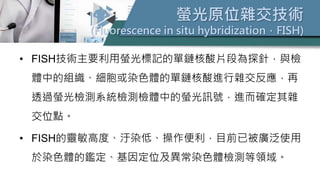 螢光原位雜交技術
(Fluorescence in situ hybridization，FISH)
• FISH技術主要利用螢光標記的單鏈核酸片段為探針，與檢
體中的組織、細胞或染色體的單鏈核酸進行雜交反應，再
透過螢光檢測系統檢測檢體中的螢光訊號，進而確定其雜
交位點。
• FISH的靈敏高度、汙染低、操作便利，目前已被廣泛使用
於染色體的鑑定、基因定位及異常染色體檢測等領域。
 