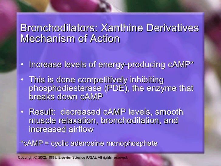 Bronchodilators Updates (ati pharmacology topic des…