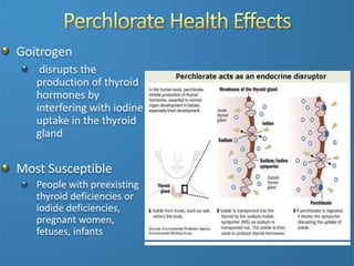 Goitrogen
disrupts the
production of thyroid
hormones by
interfering with iodine
uptake in the thyroid
gland
Most Susceptible
People with preexisting
thyroid deficiencies or
iodide deficiencies,
pregnant women,
fetuses, infants
 