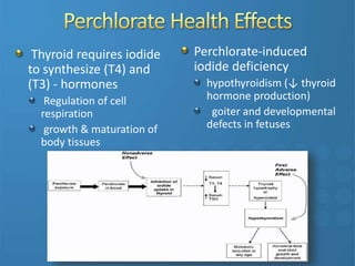 Thyroid requires iodide
to synthesize (T4) and
(T3) - hormones
Regulation of cell
respiration
growth & maturation of
body tissues
Perchlorate-induced
iodide deficiency
hypothyroidism (↓ thyroid
hormone production)
goiter and developmental
defects in fetuses
 