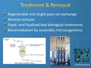 Regenerable and single-pass ion exchange
Reverse osmosis
Fixed- and fluidized-bed biological treatments
Bioremediation by anaerobic microorganisms
Dechloromonas
 