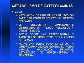 METABOLISMO DE CATECOLAMINAS <ul><li>COMT: </li></ul><ul><ul><li>METILACIÓN DE UNO DE LOS GRUPOS OH PARA DAR COMO PRODUCTO...