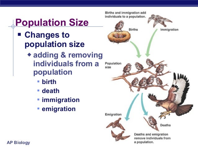 Immigration vs emigration biology