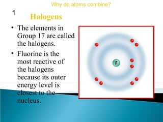 • The elements in
Group 17 are called
the halogens.
Halogens
Why do atoms combine?
1
• Fluorine is the
most reactive of
the halogens
because its outer
energy level is
closest to the
nucleus.
 