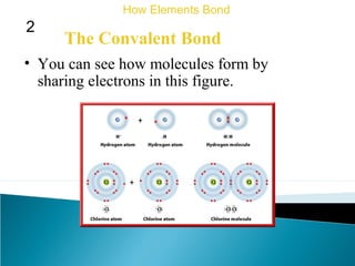 The Convalent Bond
How Elements Bond
2
• You can see how molecules form by
sharing electrons in this figure.
 