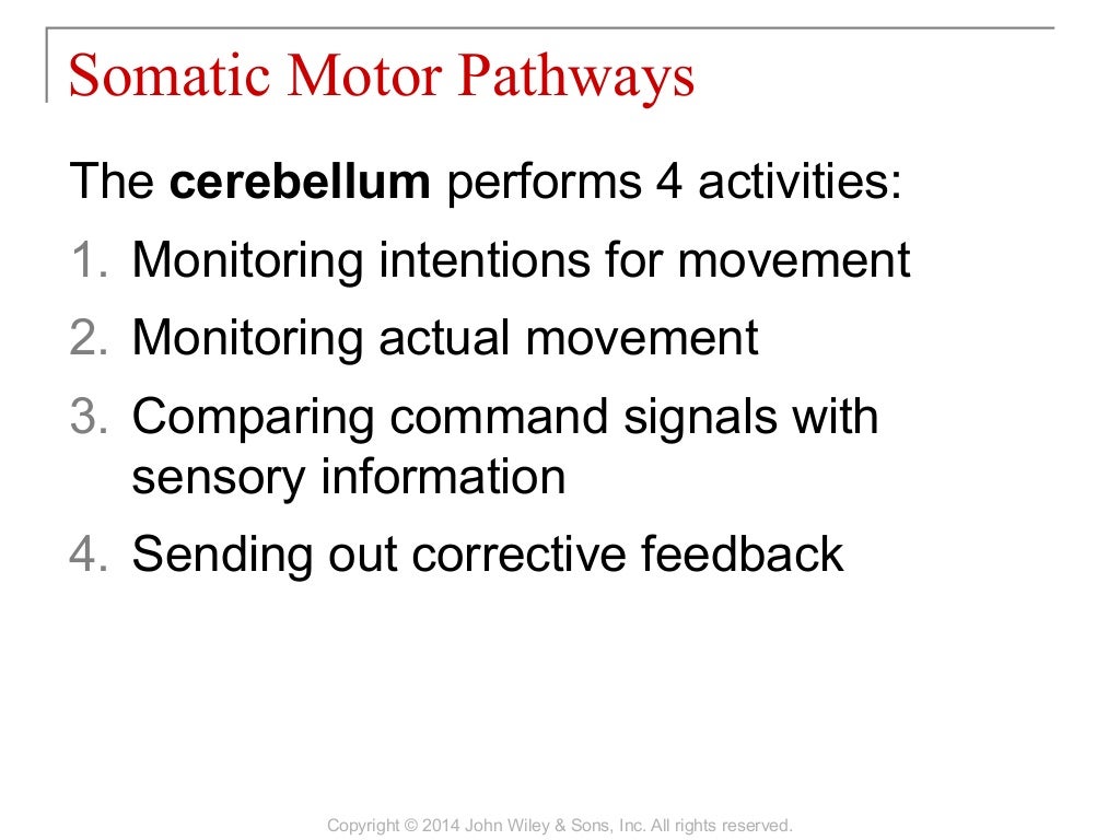 16 [chapter 16 sensory, motor, and integrative systems]