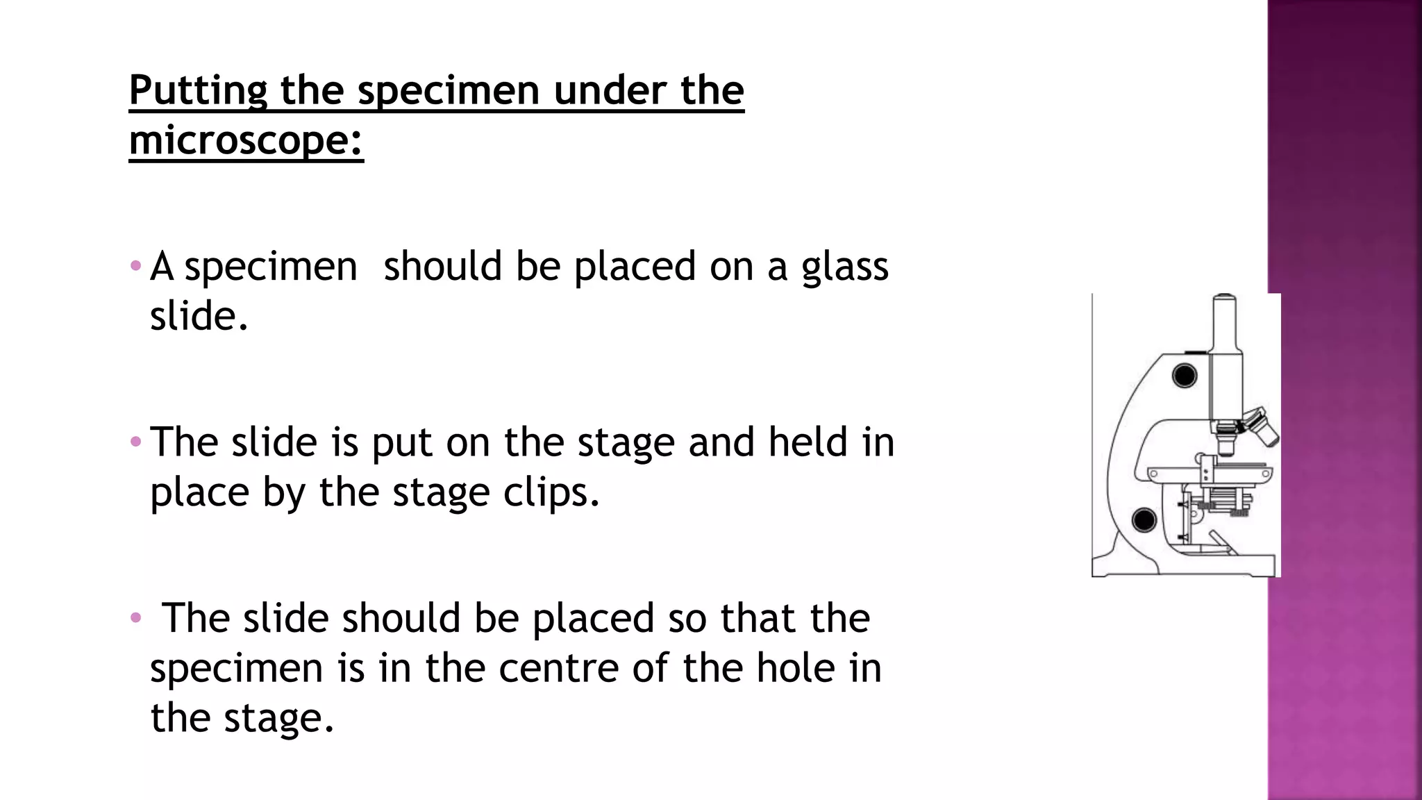 Putting the specimen under the
microscope:
• A specimen should be placed on a glass
slide.
• The slide is put on the stage and held in
place by the stage clips.
• The slide should be placed so that the
specimen is in the centre of the hole in
the stage.
 