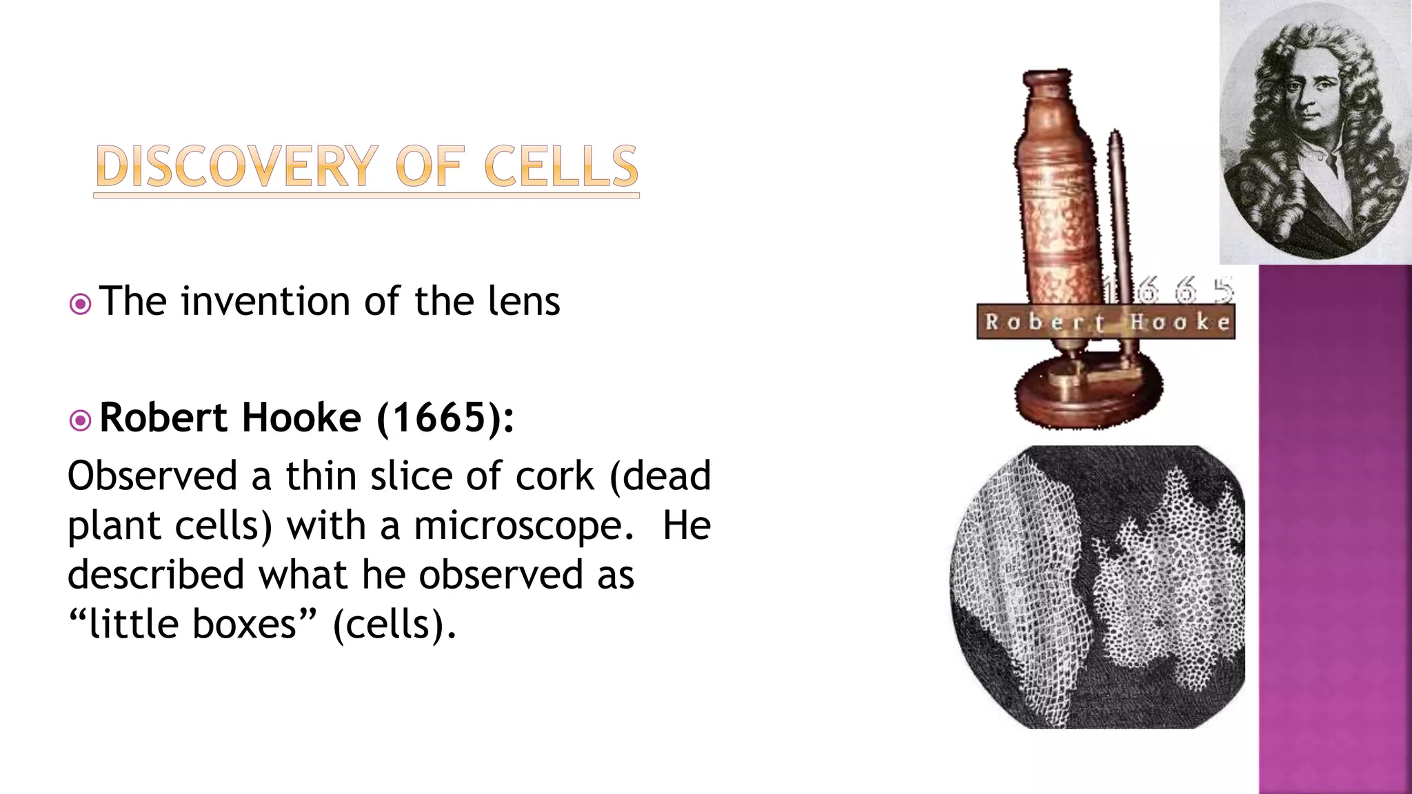  The invention of the lens
 Robert Hooke (1665):
Observed a thin slice of cork (dead
plant cells) with a microscope. He
described what he observed as
“little boxes” (cells).
 