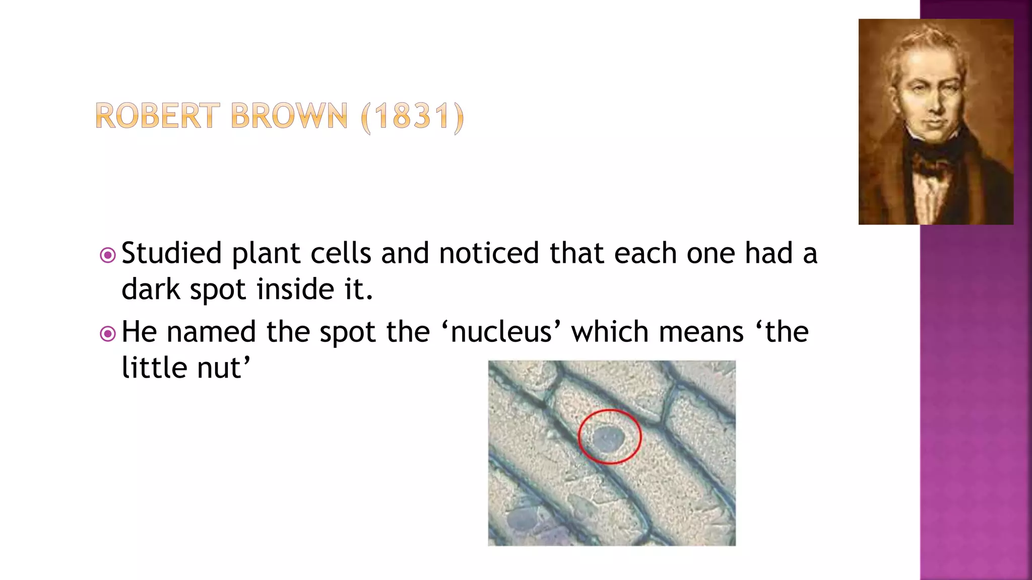  Studied plant cells and noticed that each one had a
dark spot inside it.
 He named the spot the ‘nucleus’ which means ‘the
little nut’
 
