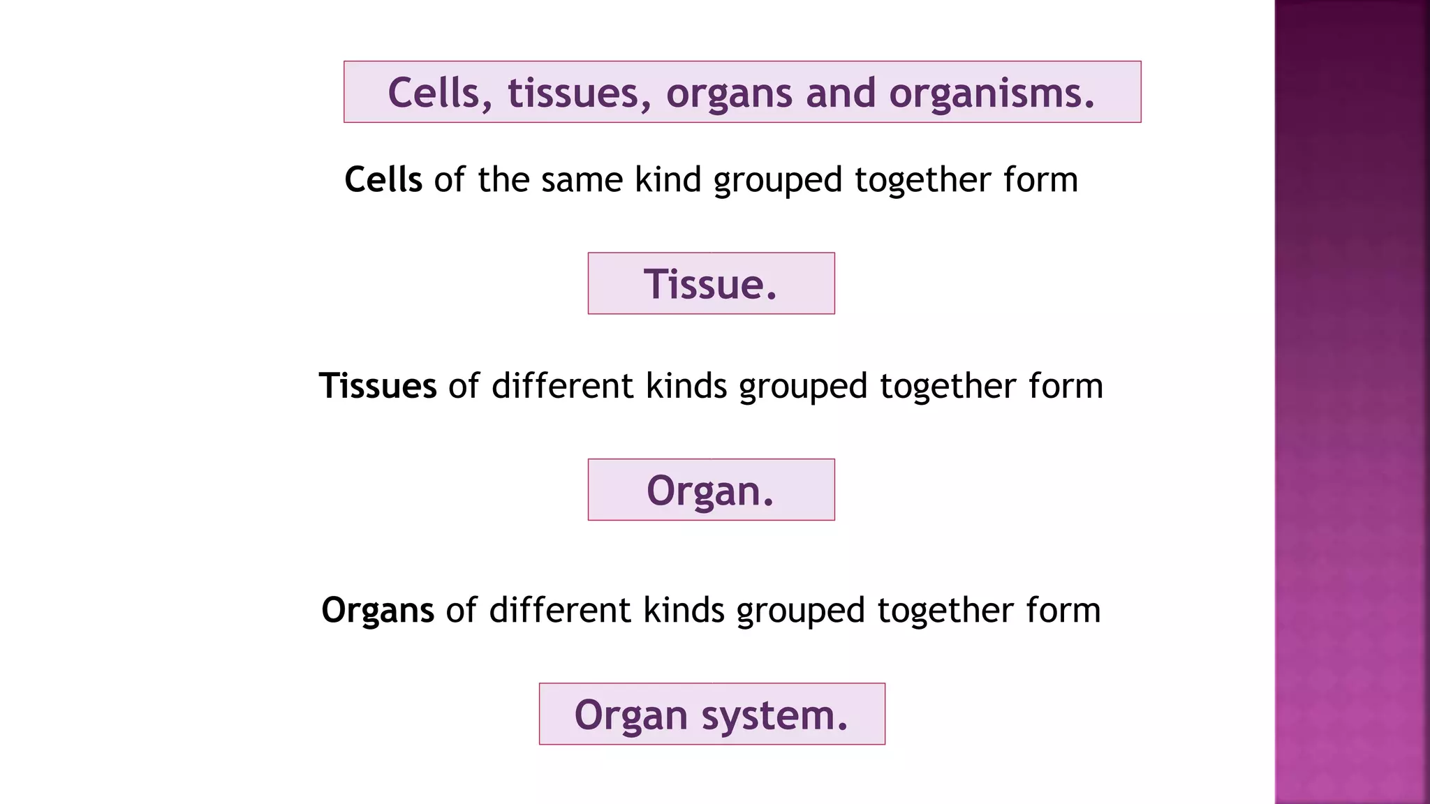 Cells, tissues, organs and organisms.
Cells of the same kind grouped together form
Tissue.
Tissues of different kinds grouped together form
Organ.
Organs of different kinds grouped together form
Organ system.
 
