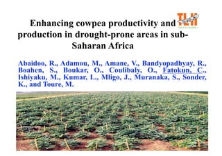 Enhancing cowpea productivity and
production in drought-prone areas in sub-
             Saharan Africa
Abaidoo, R., Adamou, M., Amane, V., Bandyopadhyay, R.,
Boahen, S., Boukar, O., Coulibaly, O., Fatokun, C.,
Ishiyaku, M., Kumar, L., Mligo, J., Muranaka, S., Sonder,
K., and Toure, M.
 