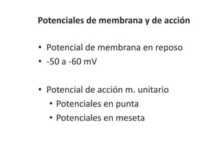 Potenciales de membrana y de acción
• Potencial de membrana en reposo
• -50 a -60 mV
• Potencial de acción m. unitario
• Potenciales en punta
• Potenciales en meseta
 
