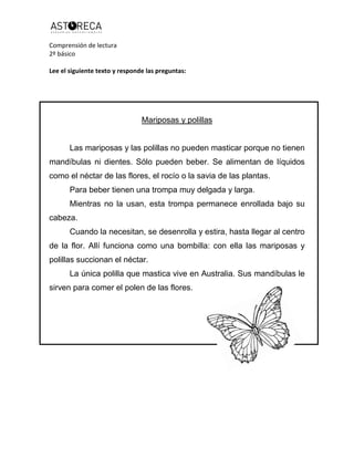 Comprensión de lectura
2º básico
Lee el siguiente texto y responde las preguntas:
Mariposas y polillas
Las mariposas y las polillas no pueden masticar porque no tienen
mandíbulas ni dientes. Sólo pueden beber. Se alimentan de líquidos
como el néctar de las flores, el rocío o la savia de las plantas.
Para beber tienen una trompa muy delgada y larga.
Mientras no la usan, esta trompa permanece enrollada bajo su
cabeza.
Cuando la necesitan, se desenrolla y estira, hasta llegar al centro
de la flor. Allí funciona como una bombilla: con ella las mariposas y
polillas succionan el néctar.
La única polilla que mastica vive en Australia. Sus mandíbulas le
sirven para comer el polen de las flores.
 