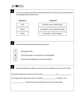 Une con una línea la parte del cuerpo del camello de la Columna A con la descripción
correspondiente de la Columna B.
Columna A Columna B
El camello puede comer plantas espinosas porque:
Saca agua de ellas.
Tiene patas largas y unas pezuñas con almohadillas.
Su boca está protegida por una dura membrana.
Escribe las palabras que faltan en este trozo, para explicar lo que ocurre en el texto:
El camello puede pasar muchos meses sin tomar _______________. En _________________
saca el agua de las plantas que come. Cuando el_________________ aumenta, y las
__________________ están más secas, puede pasar cinco días sin tomar agua.
Ojos
Narices
Orejas
las puede cerrar completamente.
son grandes y están protegidos.
son pequeñas y estás cubiertas de pelo.
A
B
C
5
6
4
 