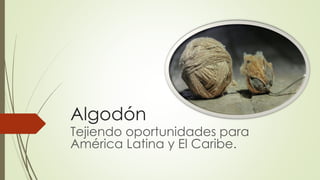 Algodón
Tejiendo oportunidades para
América Latina y El Caribe.
 