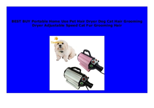 best dog blow dryer for home use