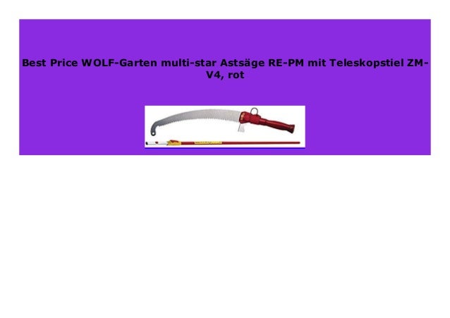 Best Buy Wolf Garten Multi Star Asts Ge Re Pm Mit Teleskopstiel