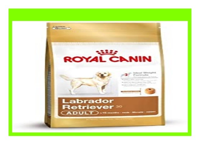 royal canin labrador review