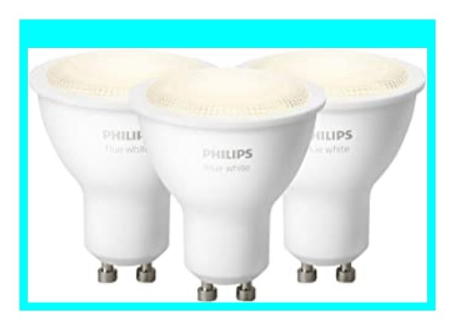 philips hue white alexa