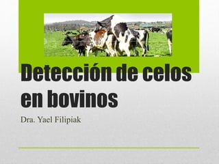 Detección de celos
en bovinos
Dra. Yael Filipiak
 