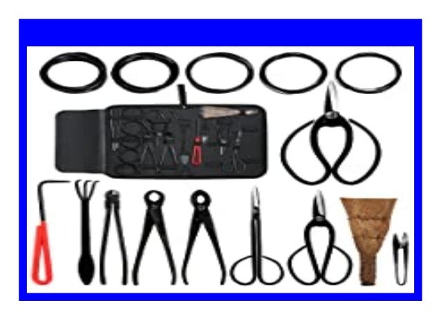 Best Buy Audeuk Bonsai Werkzeug Kit 100 Teiliges Nbsp Set Carbonstahl