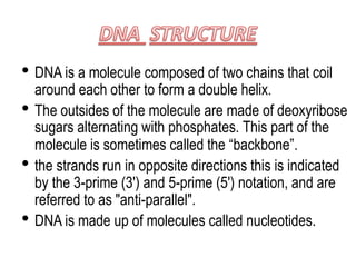 • DNA is a molecule composed of two chains that coil
around each other to form a double helix.
• The outsides of the molecule are made of deoxyribose
sugars alternating with phosphates. This part of the
molecule is sometimes called the “backbone”.
• the strands run in opposite directions this is indicated
by the 3-prime (3') and 5-prime (5') notation, and are
referred to as "anti-parallel".
• DNA is made up of molecules called nucleotides.
 