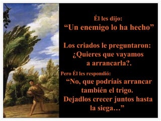 Él les dijo: “ Un enemigo lo ha hecho” Los criados le preguntaron: ¿Quieres que vayamos a arrancarla?. Pero Él les respondió: “ No, que podríais arrancar también el trigo. Dejadlos crecer juntos hasta la siega…” (Mt 13,24-30)