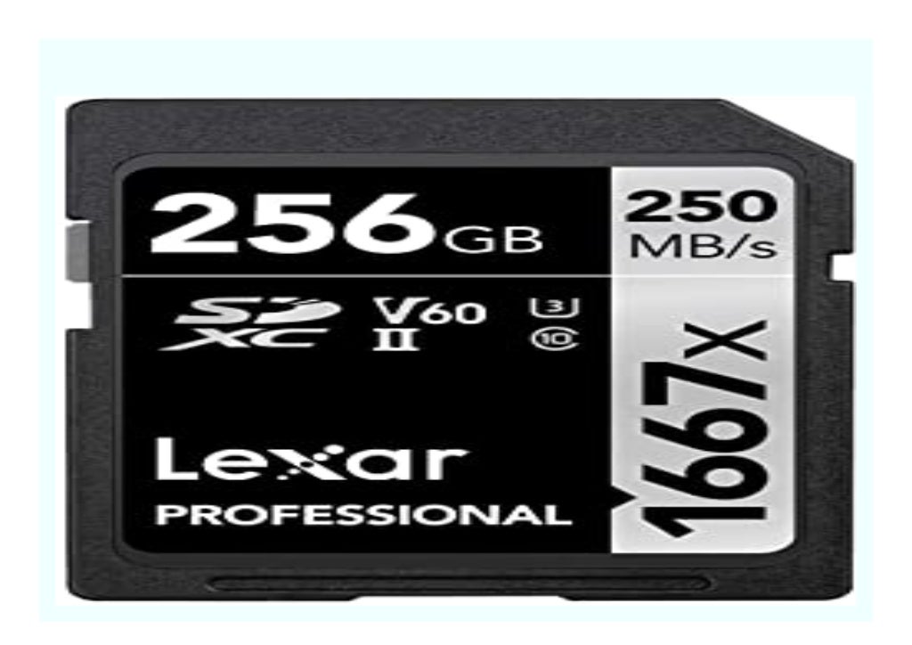 BIG SALE Lexar Professional 1667x 256GB SDXC UHS II Karte review 228