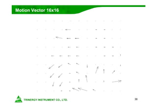 36
Motion Vector 16x16
 