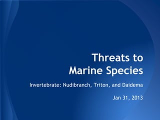 Threats to
Marine Species
Invertebrate: Nudibranch, Triton, and Daidema
Jan 31, 2013
 