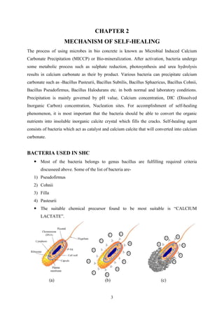 3
CHAPTER 2
MECHANISM OF SELF-HEALING
The process of using microbes in bio concrete is known as Microbial Induced Calcium
Carbonate Precipitation (MICCP) or Bio-mineralization. After activation, bacteria undergo
some metabolic process such as sulphate reduction, photosynthesis and urea hydrolysis
results in calcium carbonate as their by product. Various bacteria can precipitate calcium
carbonate such as -Bacillus Pasteurii, Bacillus Subtilis, Bacillus Sphaericus, Bacillus Cohnii,
Bacillus Pseudofirmus, Bacillus Halodurans etc. in both normal and laboratory conditions.
Precipitation is mainly governed by pH value, Calcium concentration, DIC (Dissolved
Inorganic Carbon) concentration, Nucleation sites. For accomplishment of self-healing
phenomenon, it is most important that the bacteria should be able to convert the organic
nutrients into insoluble inorganic calcite crystal which fills the cracks. Self-healing agent
consists of bacteria which act as catalyst and calcium calcite that will converted into calcium
carbonate.
BACTERIA USED IN SHC
 Most of the bacteria belongs to genus bacillus are fulfilling required criteria
discusseed above. Some of the list of bacteria are-
1) Pseudofirmus
2) Cohnii
3) Filla
4) Pasteurii
 The suitable chemical precursor found to be most suitable is “CALCIUM
LACTATE”.
 