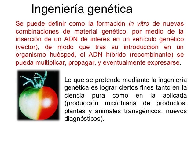 16 El Adn Y La Ingenieria Genetica